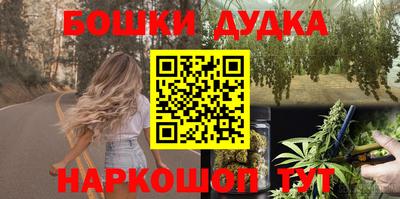 тгк Бийск