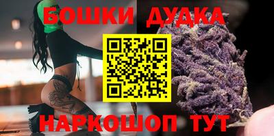 тгк Бийск