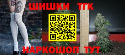 тгк Бийск