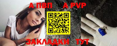 тгк Бийск