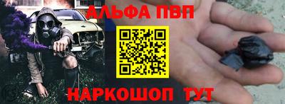 тгк Бийск