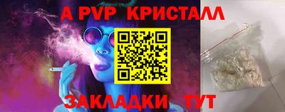 тгк Бийск