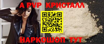 тгк Бийск