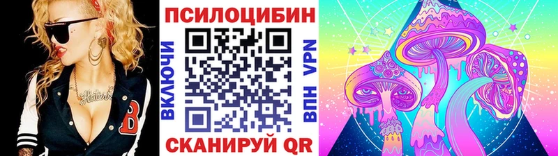 Псилоцибиновые грибы Psilocybine cubensis  Богородицк 