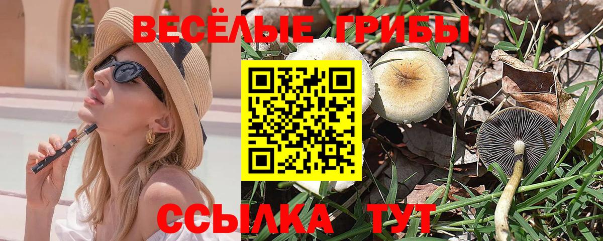 Псилоцибиновые грибы прущие грибы  Вход с VPN  Богородицк 