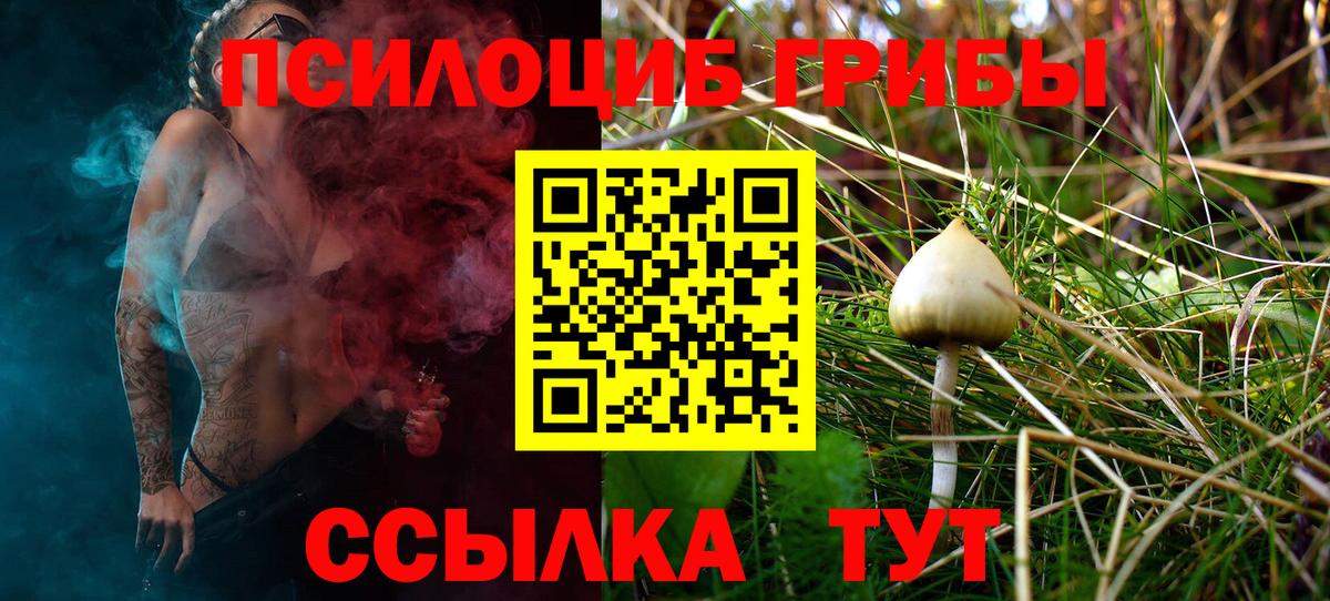 Псилоцибиновые грибы Magic Shrooms  Богородицк  Псилоцибиновые грибы Magic Shrooms 